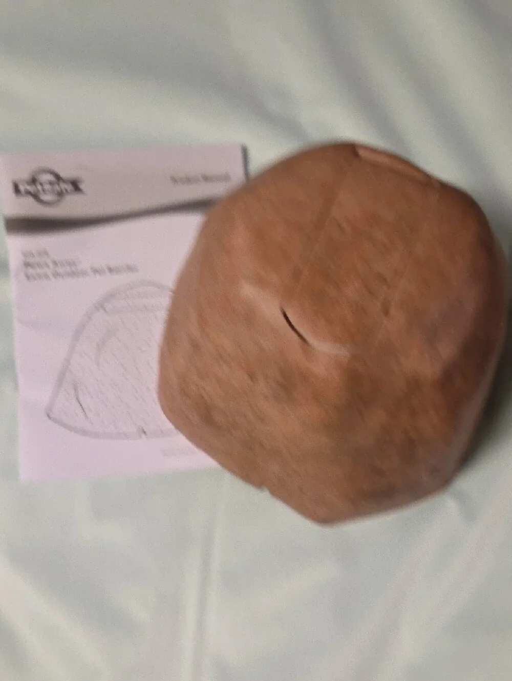 PetSafe Brown Outdoor Pet Barrier   Shaped Like A Rock